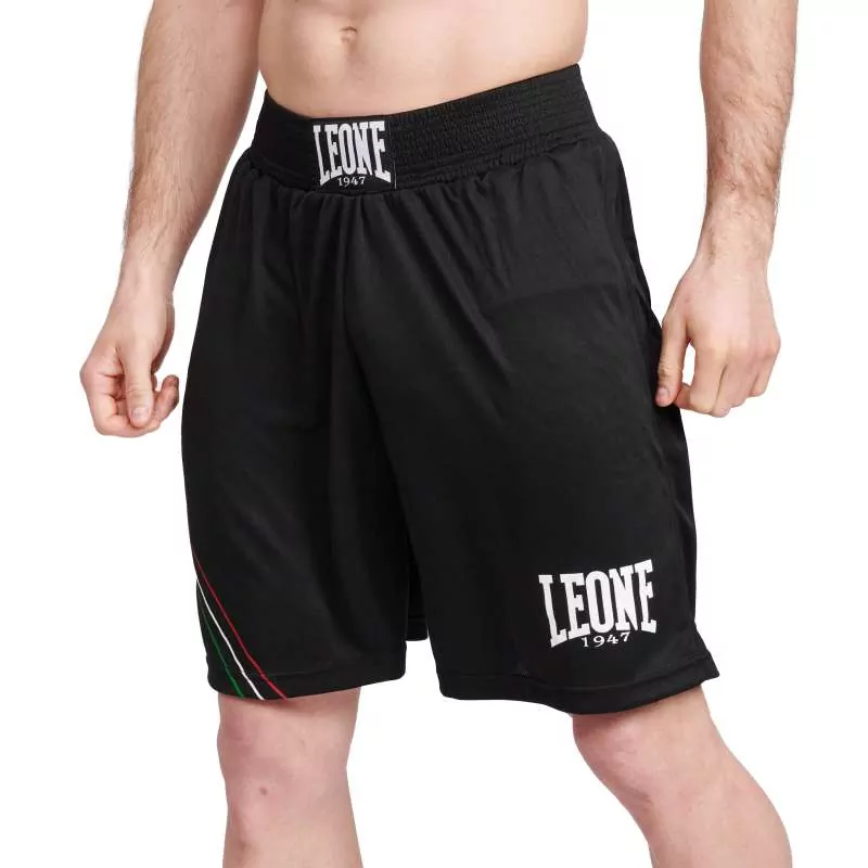 Leone Pantaloncini da boxe AB227 bandiera